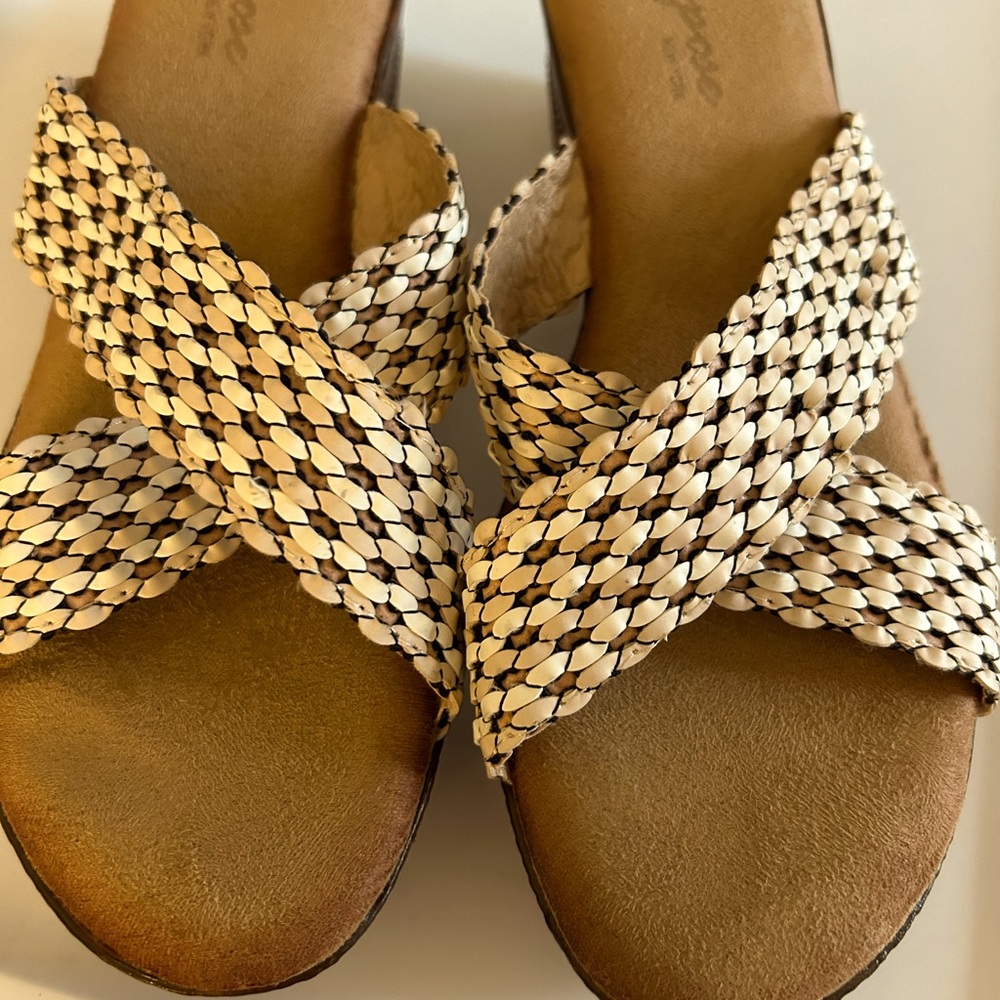 Vespose Wedge